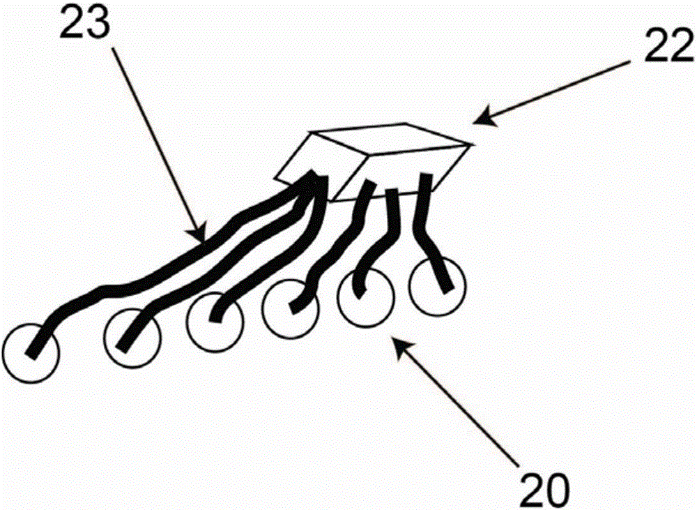 Automated water stratified sampler and application thereof