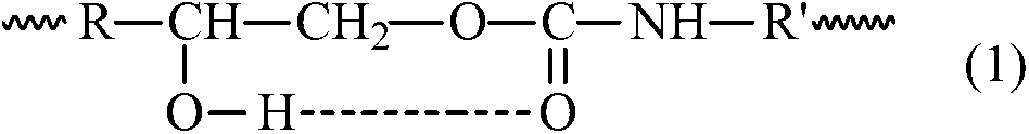 Epoxy non-isocyanate polyurethane heavy anti-corrosion coating