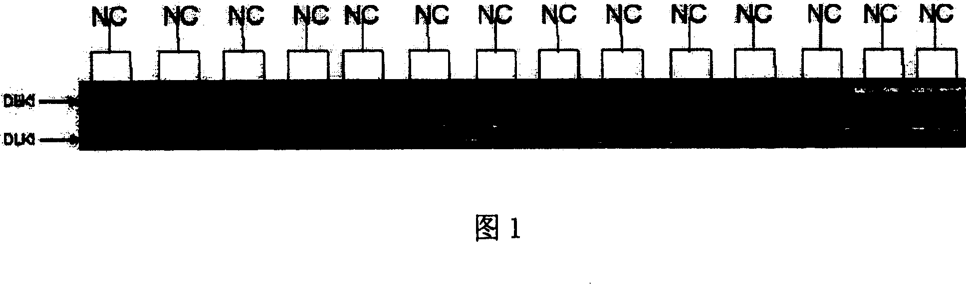 Liver cancer relative gene DLK1 and its use