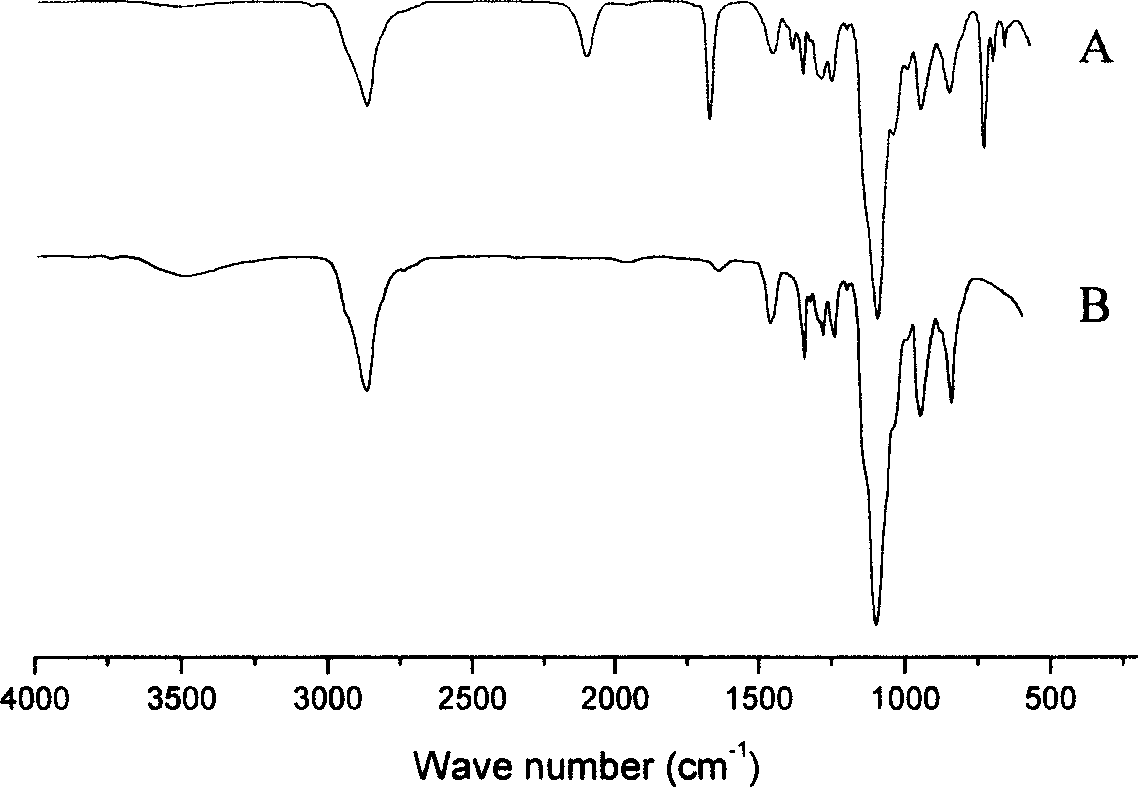 Water-soluble carbon nano tube and preparation method thereof