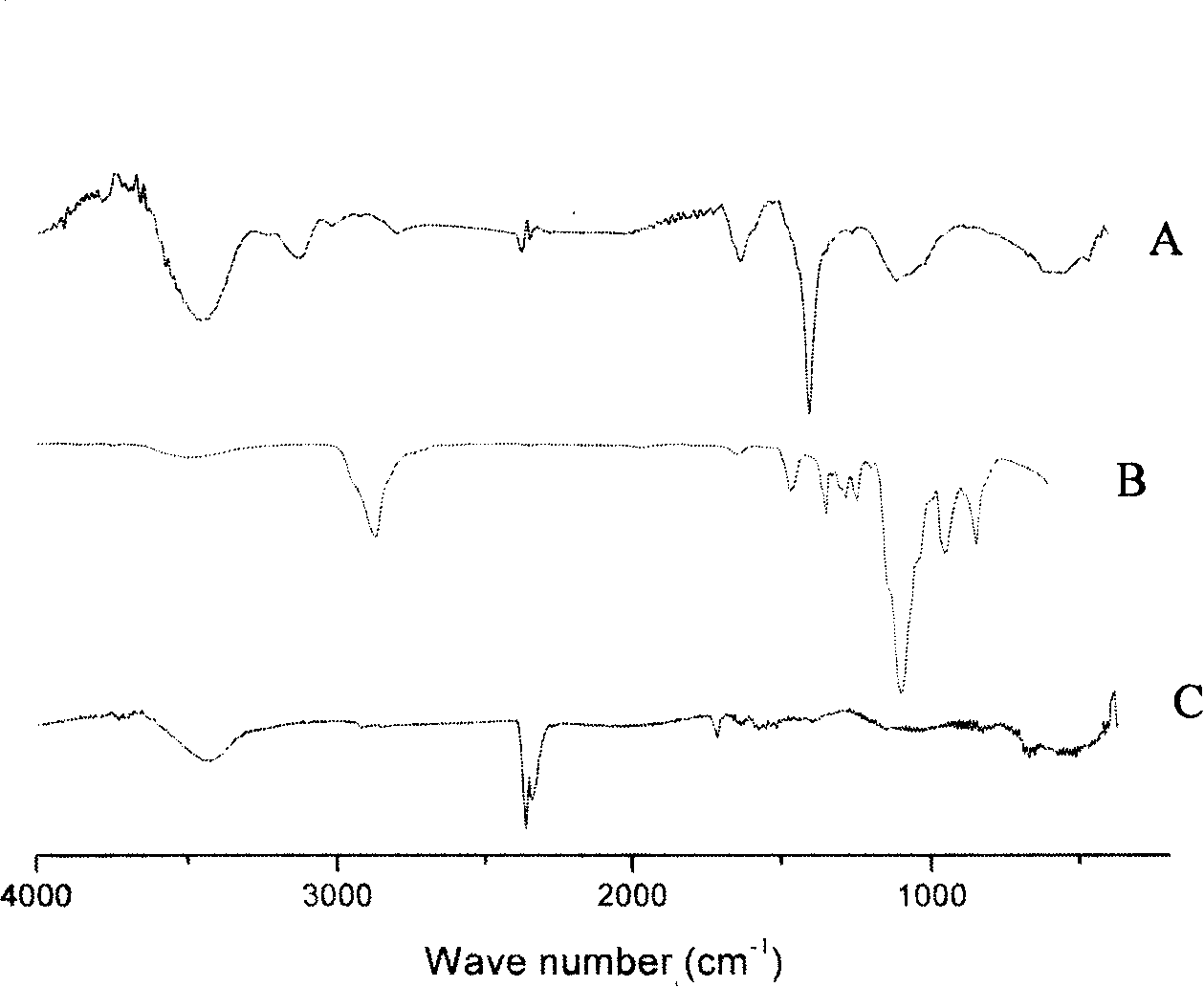 Water-soluble carbon nano tube and preparation method thereof