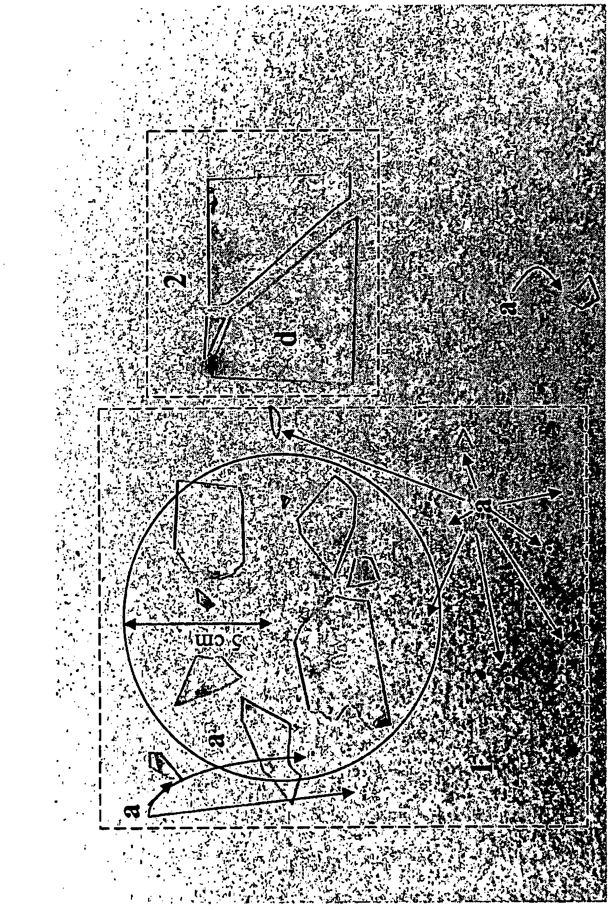 Strengthened glass articles and methods of making