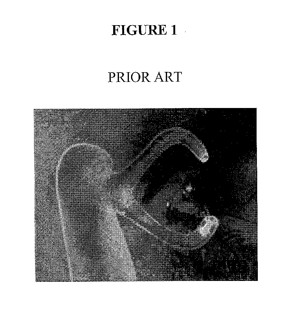 Lacrimal System for Drug Delivery