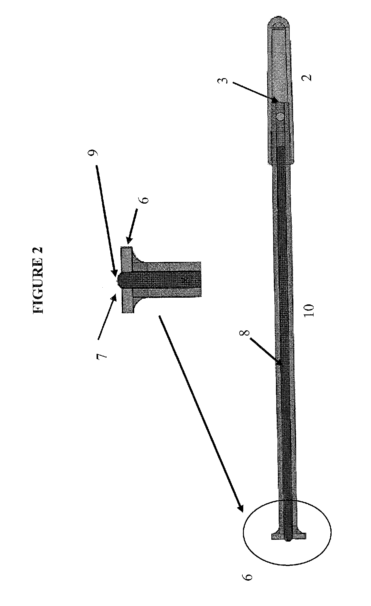 Lacrimal System for Drug Delivery