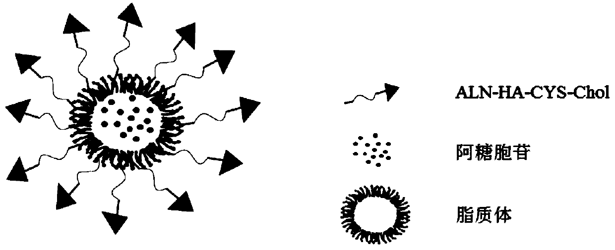 Glutathione sensitive bone targeted liposome and preparation method thereof