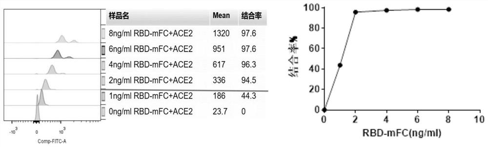 Novel coronavirus neutralizing antibody magnetic bead fluorescence detection kit and detection method