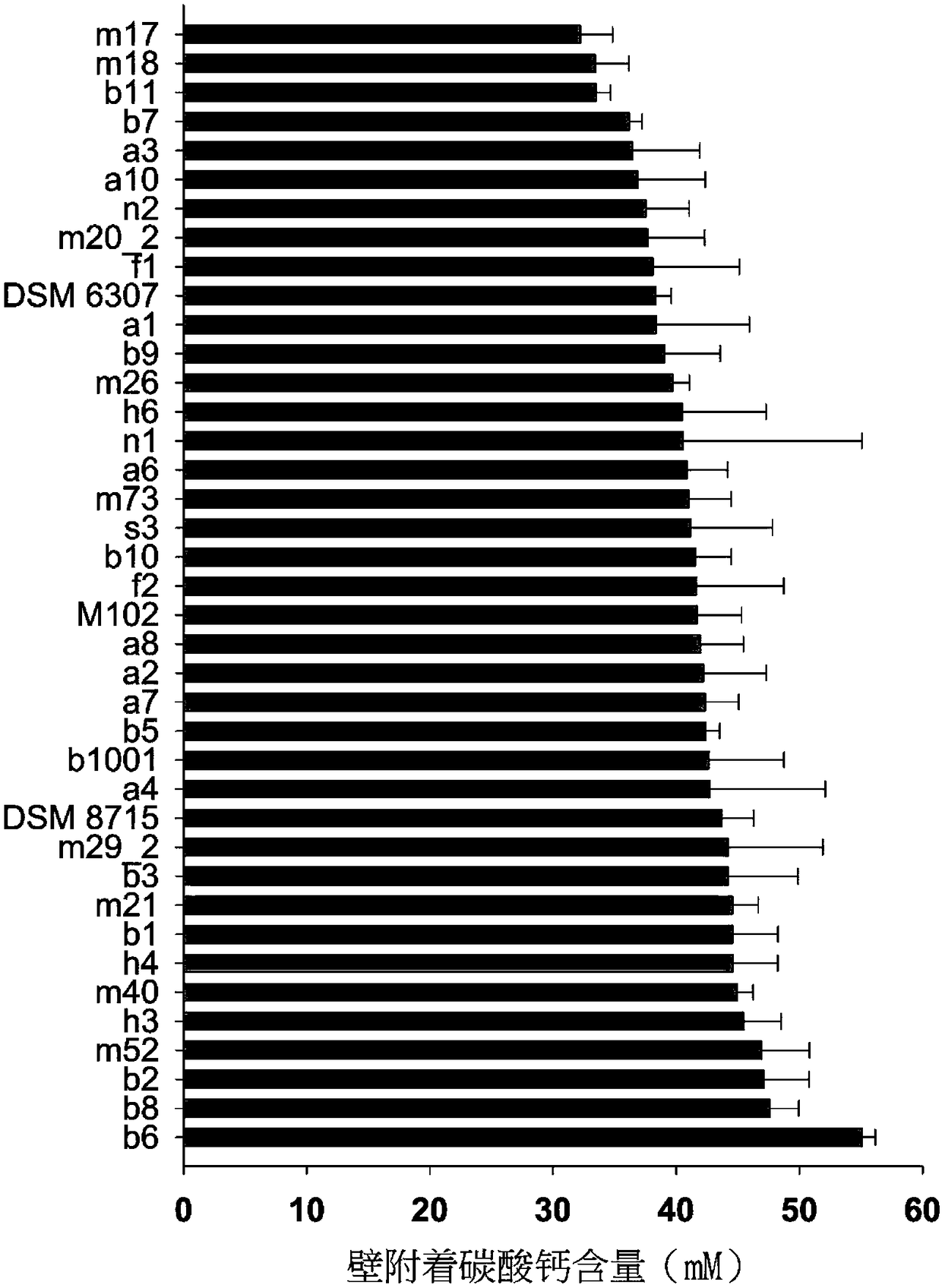 Aerobic type high-efficiency calcium mineralized bacillus and application thereof in concrete repair