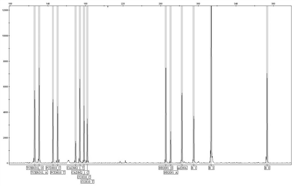 Kit and method for detecting human scientific temperament potential genotypes