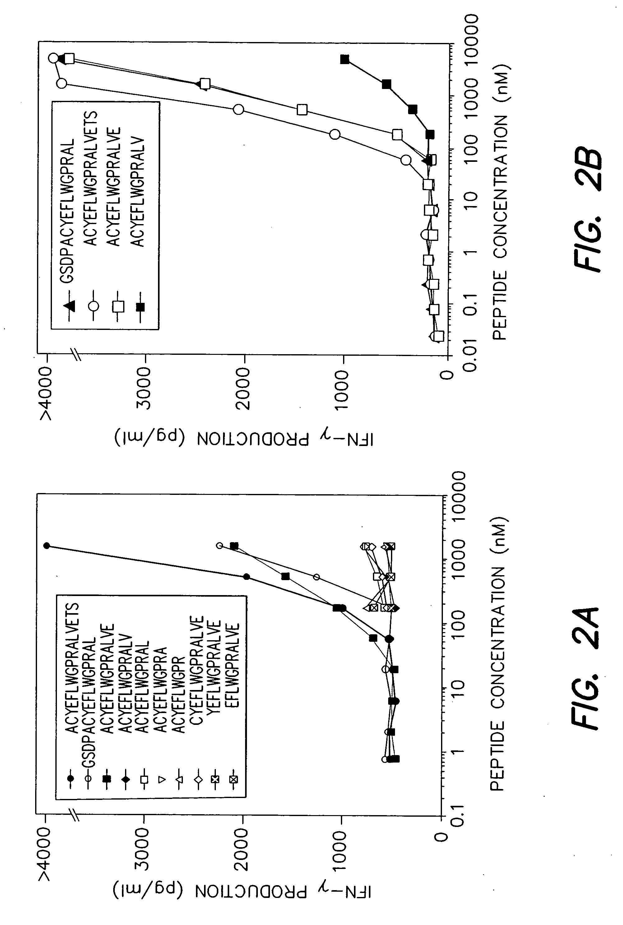 MAGE-A3 peptides presented by HLA class II molecules