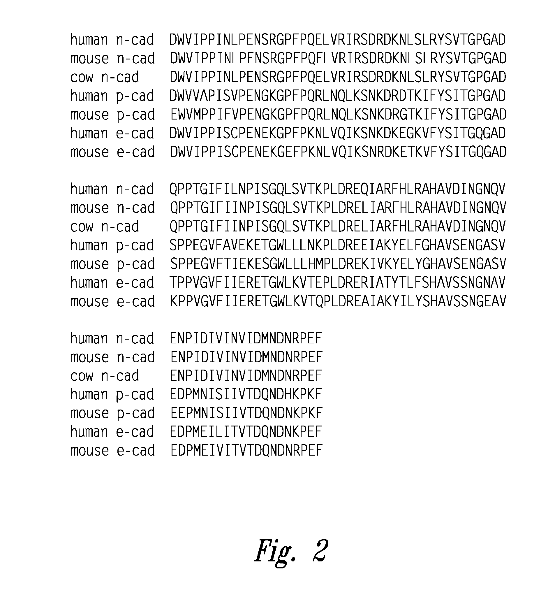 Peptidomimetic modulators of cell adhesion