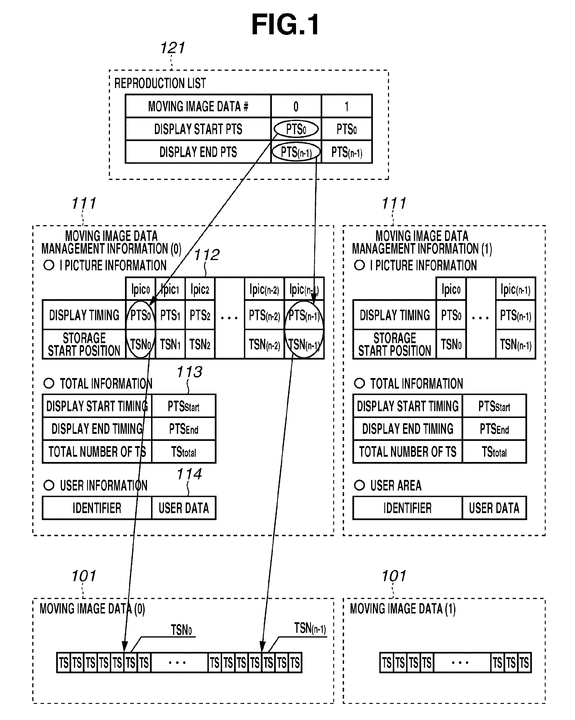 Moving image reproducing apparatus