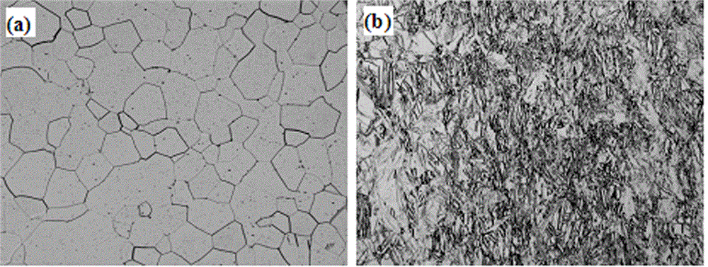 Preparation method for high-strength pure titanium panels