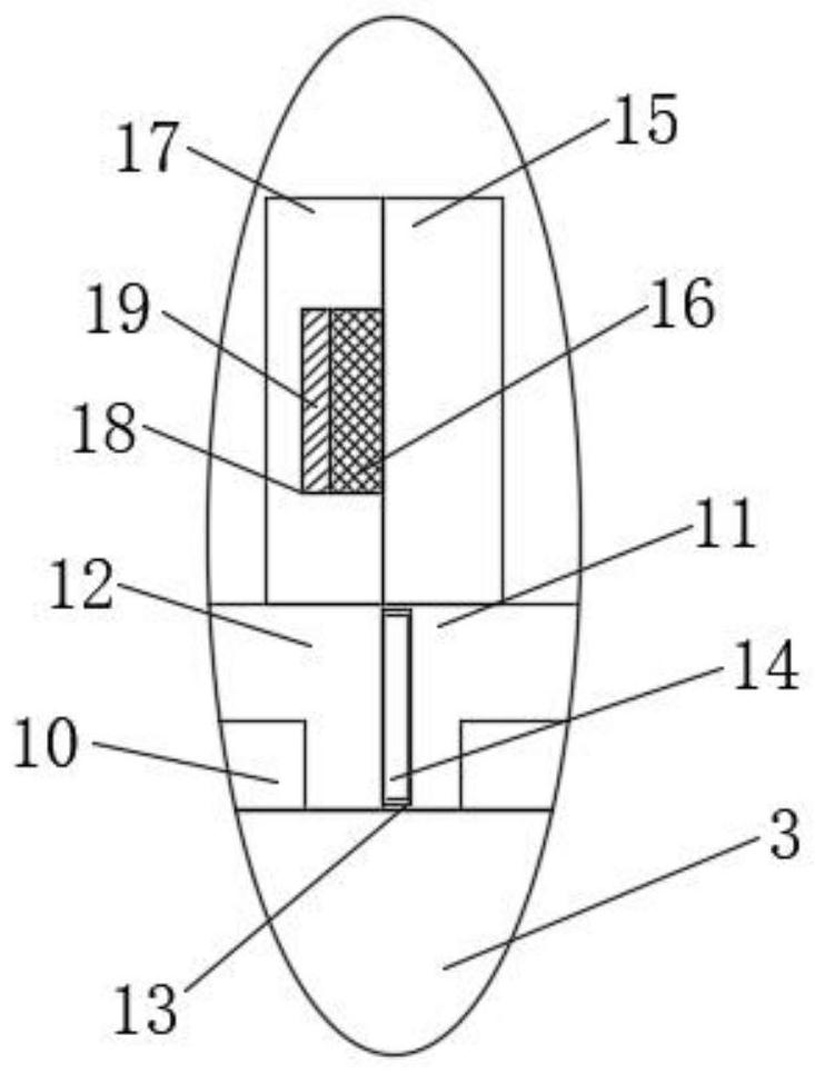 Surveying and mapping device for geological exploration