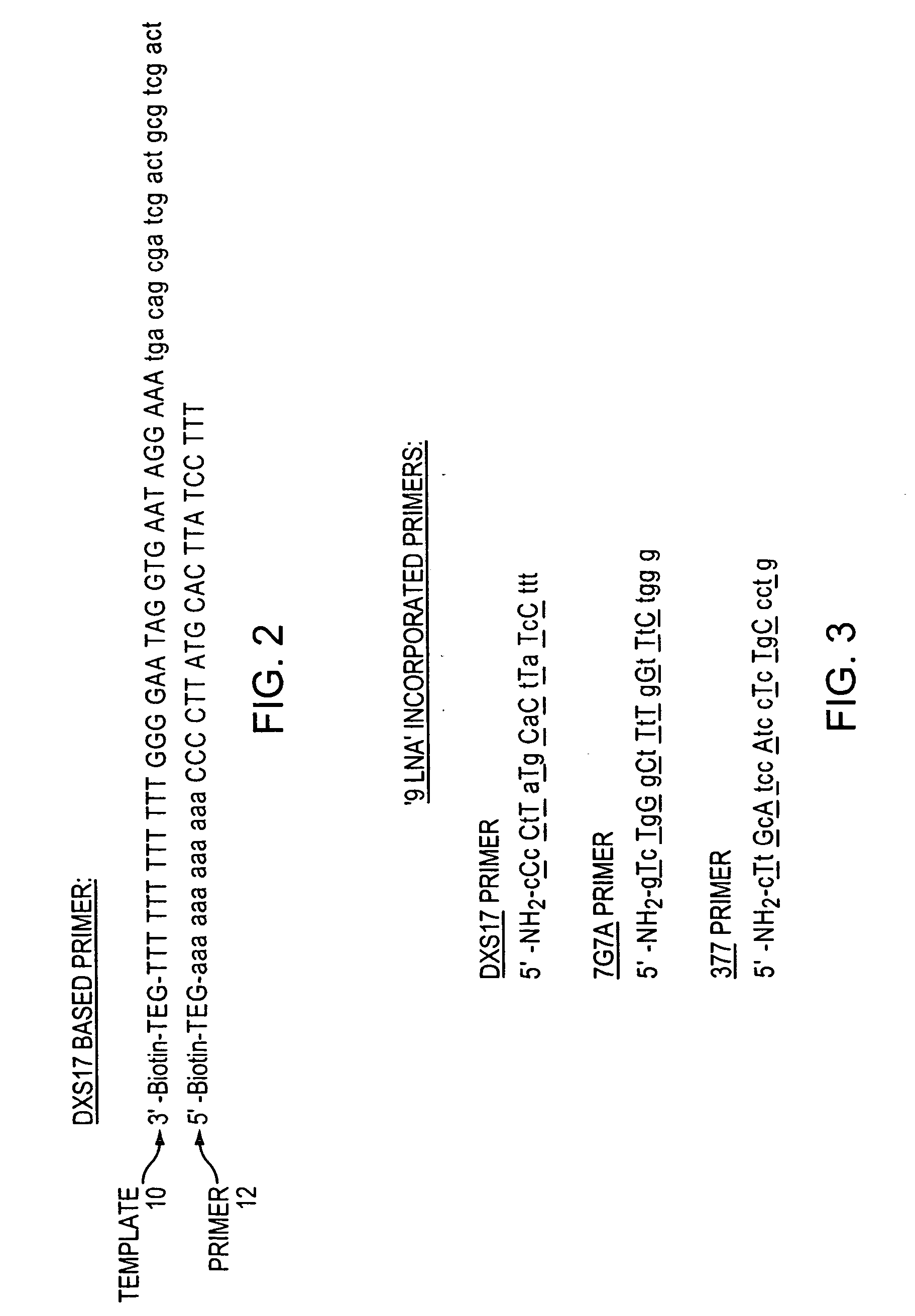 Stabilizing a nucleic acid for nucleic acid sequencing