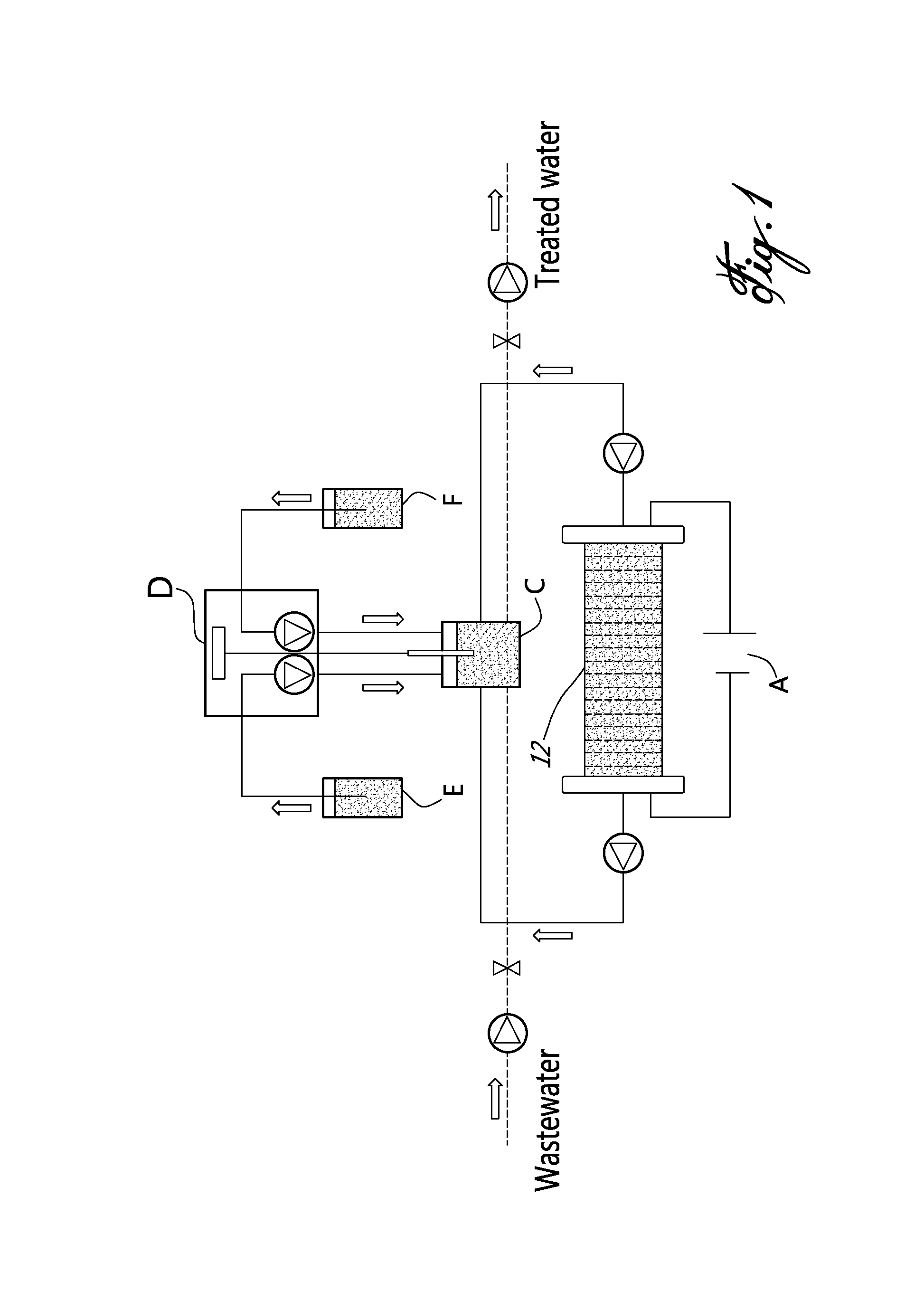 Method and system for electrochemical removal of nitrate and ammonia