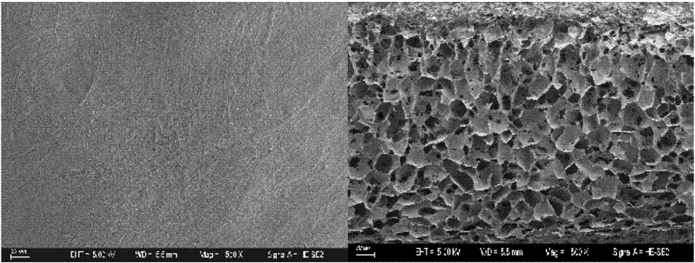 High induced activity repairing material and preparation method and application thereof