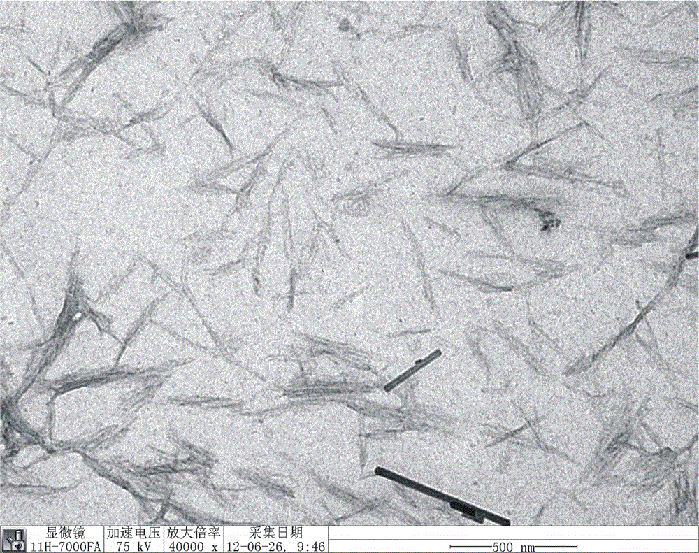 All-biomass composite modified foamed material and preparation method thereof