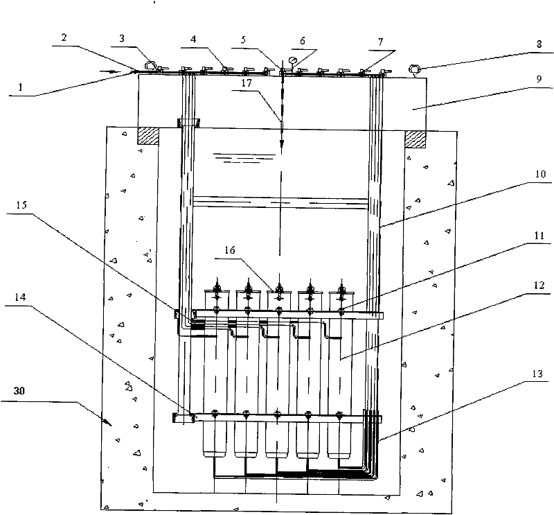 Underwater sipping apparatus for nuclear reactor spent fuel damage detection