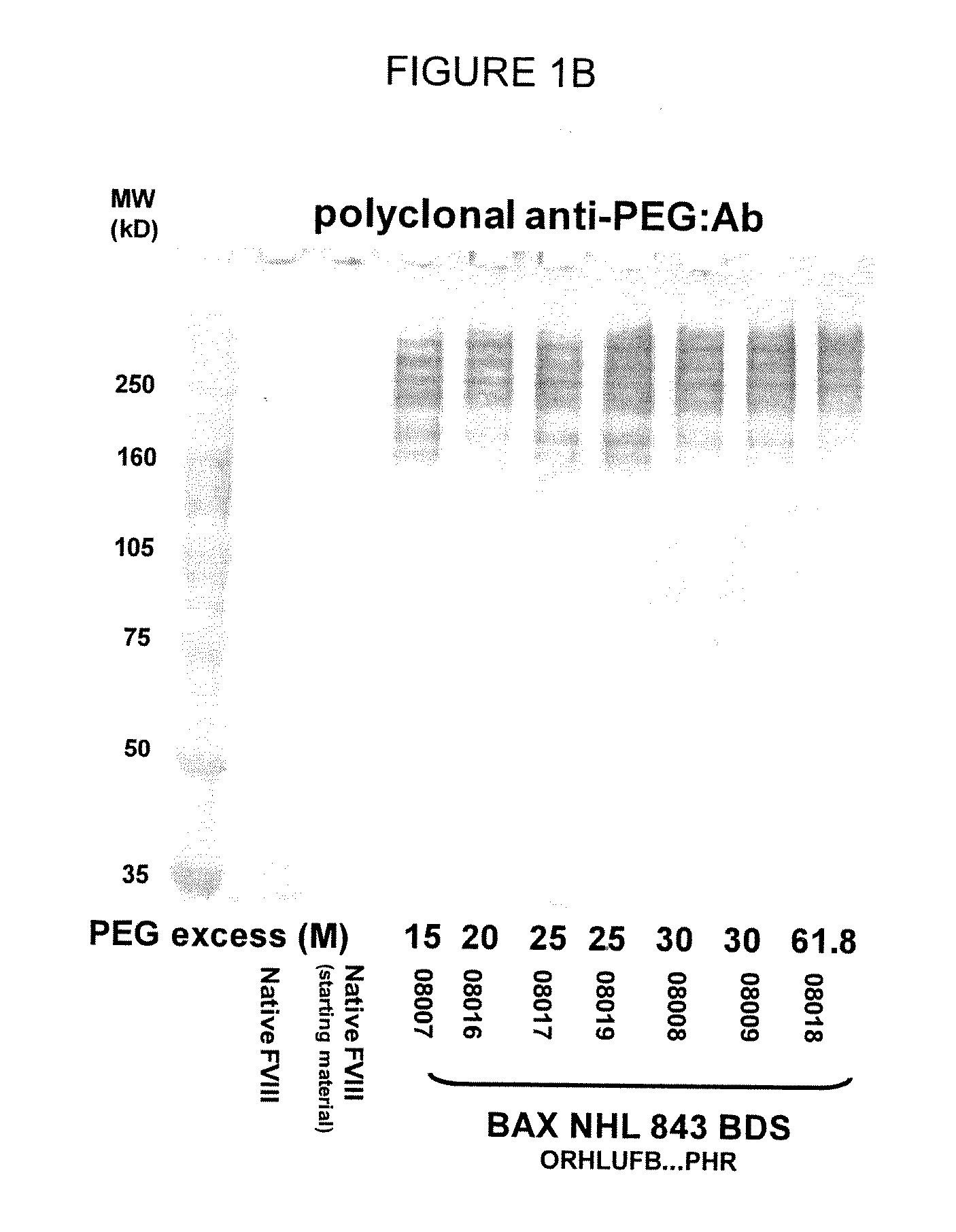 Modified blood factors comprising a low degree of water soluble polymer