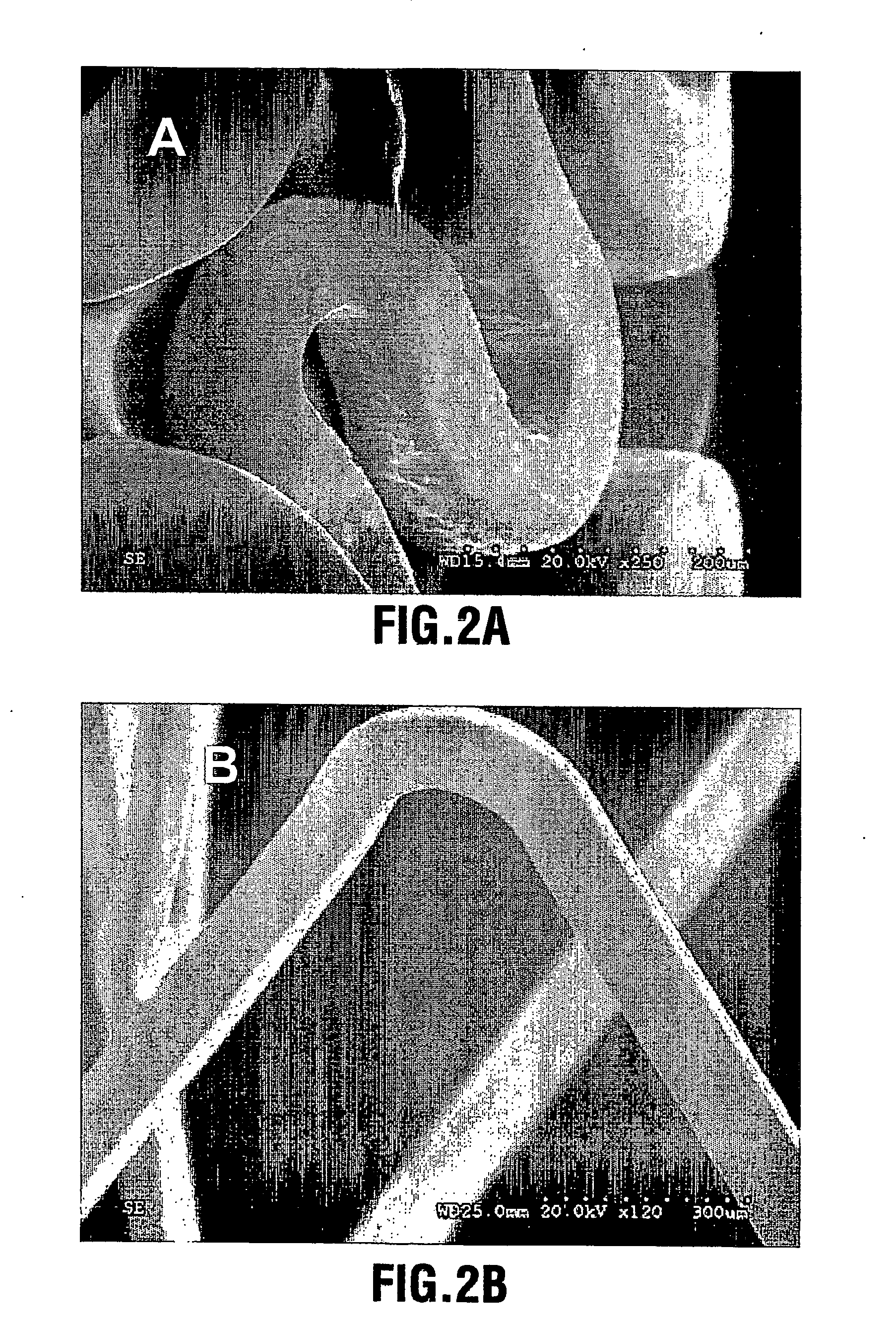 Calcium phosphate coated implantable medical devices and processes for making same