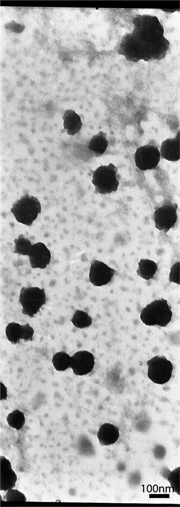 Curcumin nanoparticles and preparation method thereof