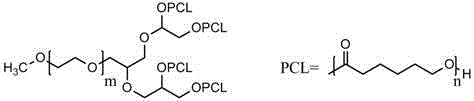 Curcumin nanoparticles and preparation method thereof