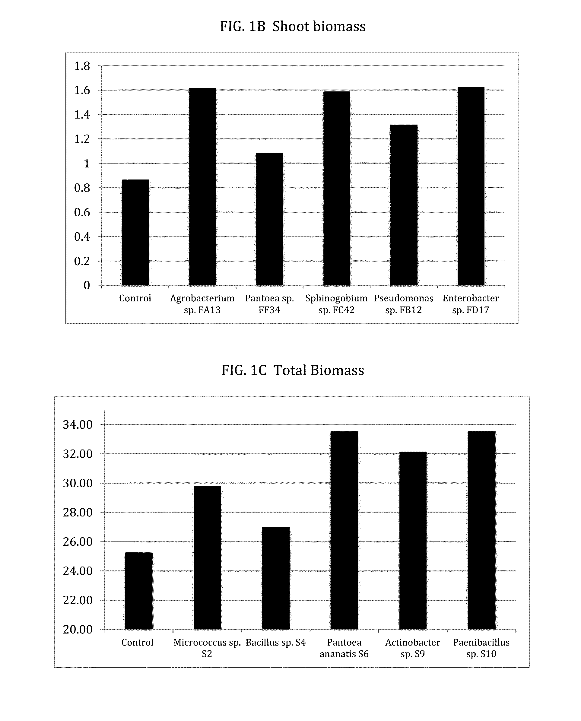 Plant-endophyte combinations and uses therefor