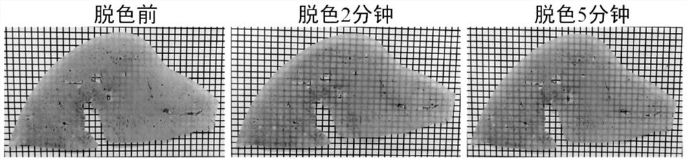 Method for decolorizing transparent large-volume sample and acquiring three-dimensional data online