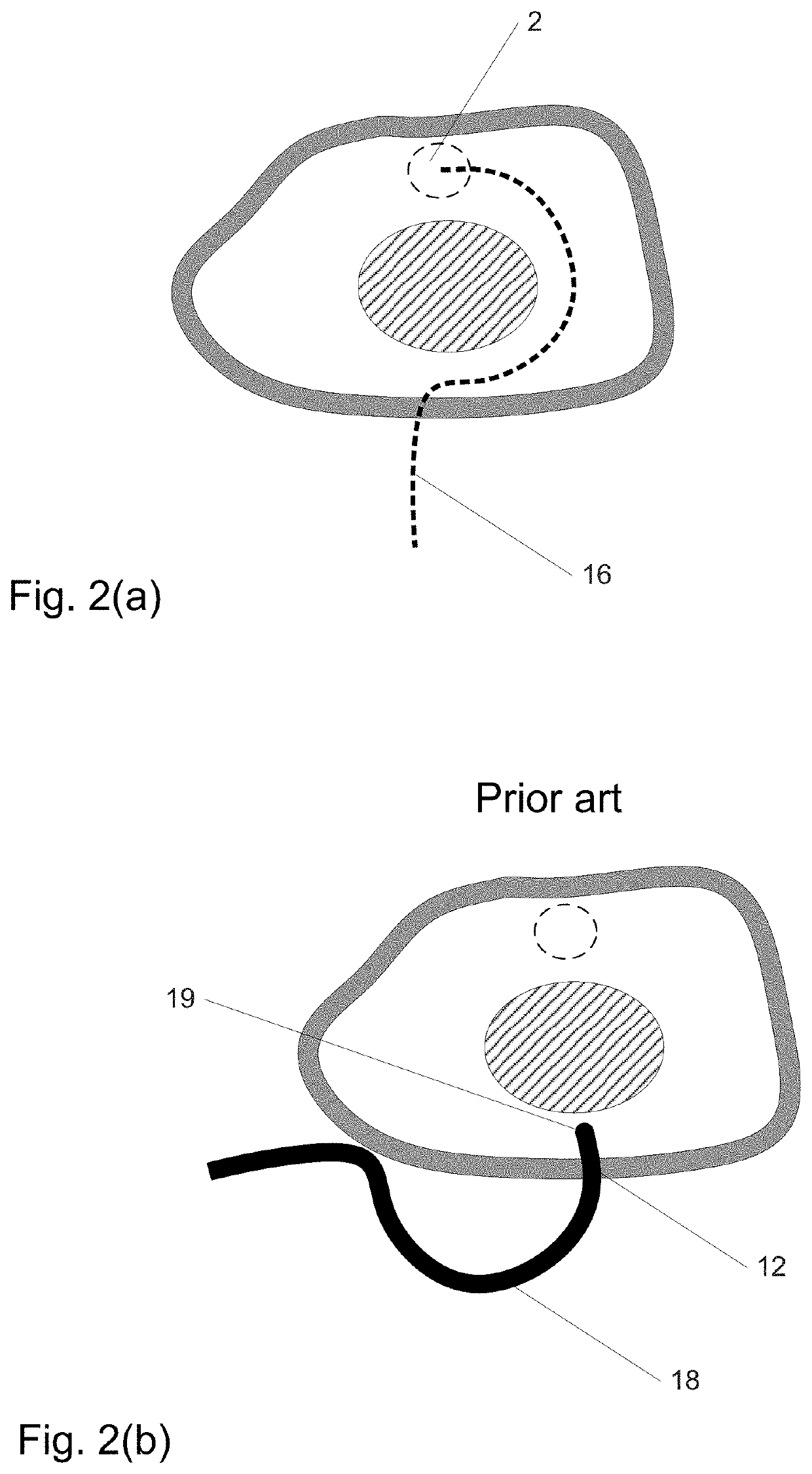 Steerable extendable devices