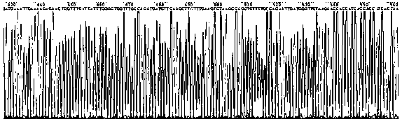 Improved broad-spectrum endonuclease and its industrial production method