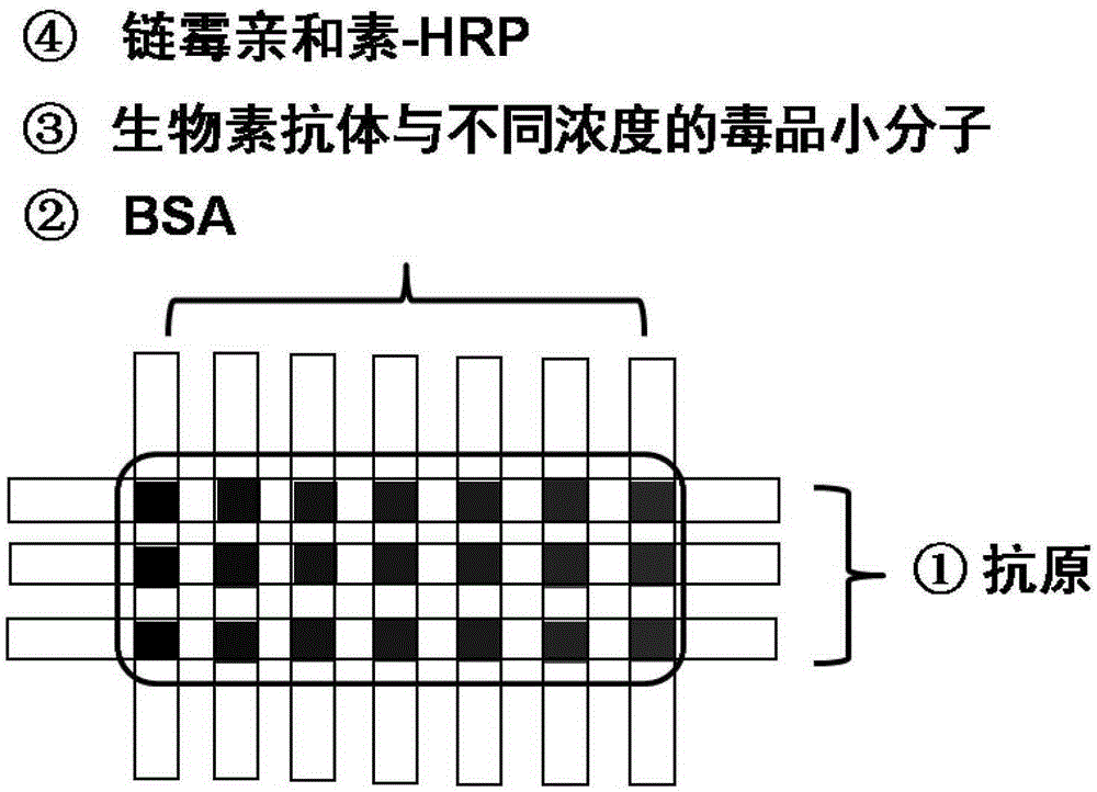 Microfluidic immune chip analysis method based on biotin and streptavidine system