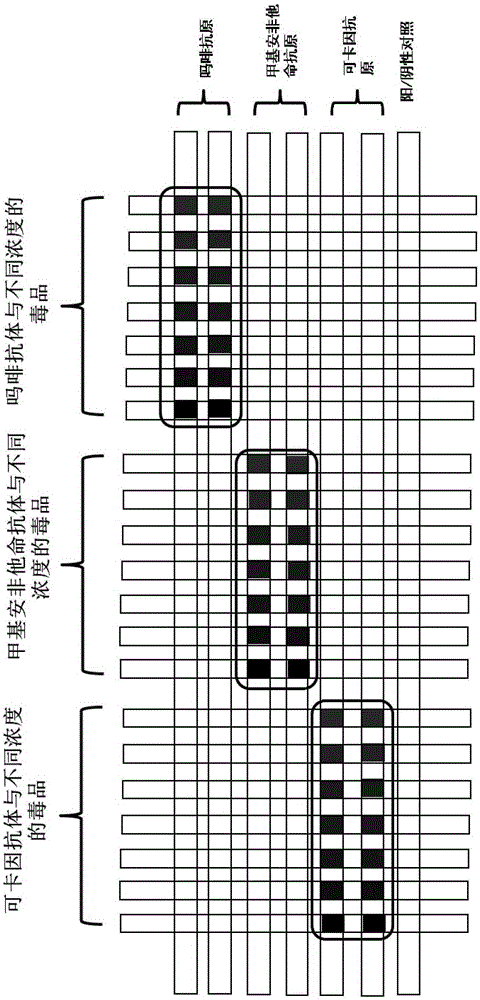 Microfluidic immune chip analysis method based on biotin and streptavidine system