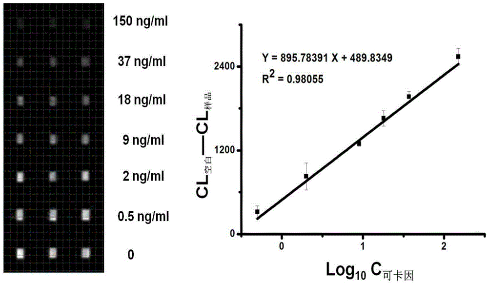 Microfluidic immune chip analysis method based on biotin and streptavidine system