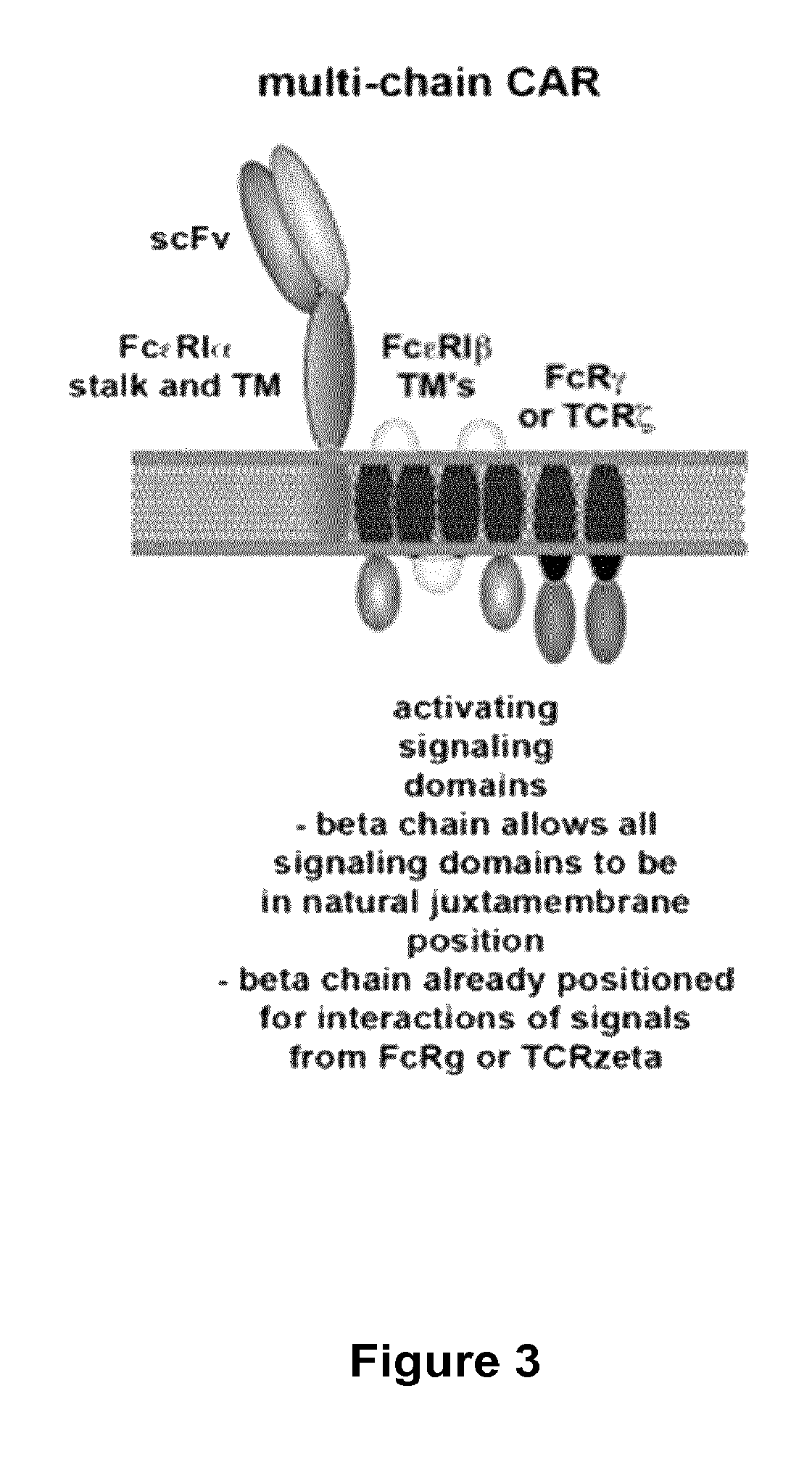 Methods for engineering T cells for immunotherapy by using RNA-guided CAS nuclease system