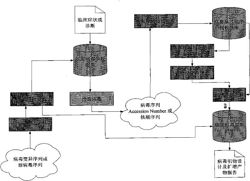 Primer library and screening system for rapid PCR (Polymerase Chain Reaction) detection for population sudden viral epidemics