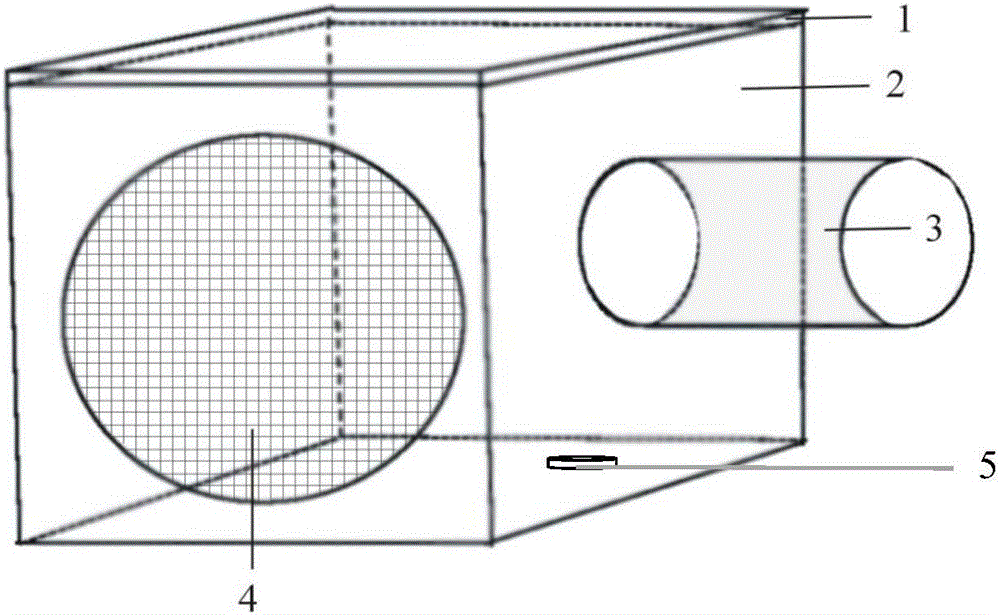 Device and method for determining toxicity of Bactrocera cucurbitae feeding pesticide