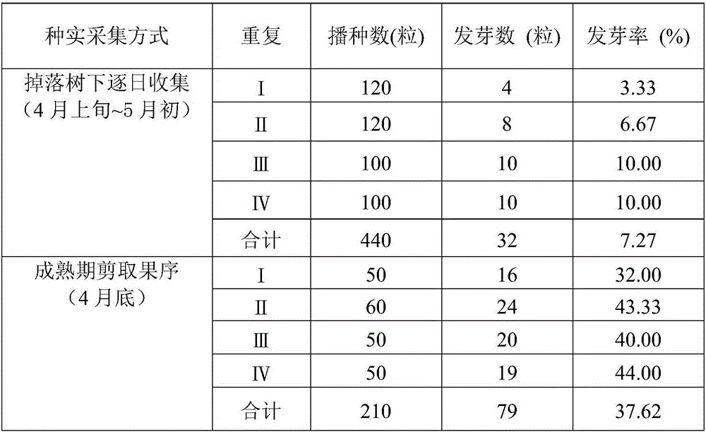 Highly efficient germination and seedling culture method for red sandalwood seeds