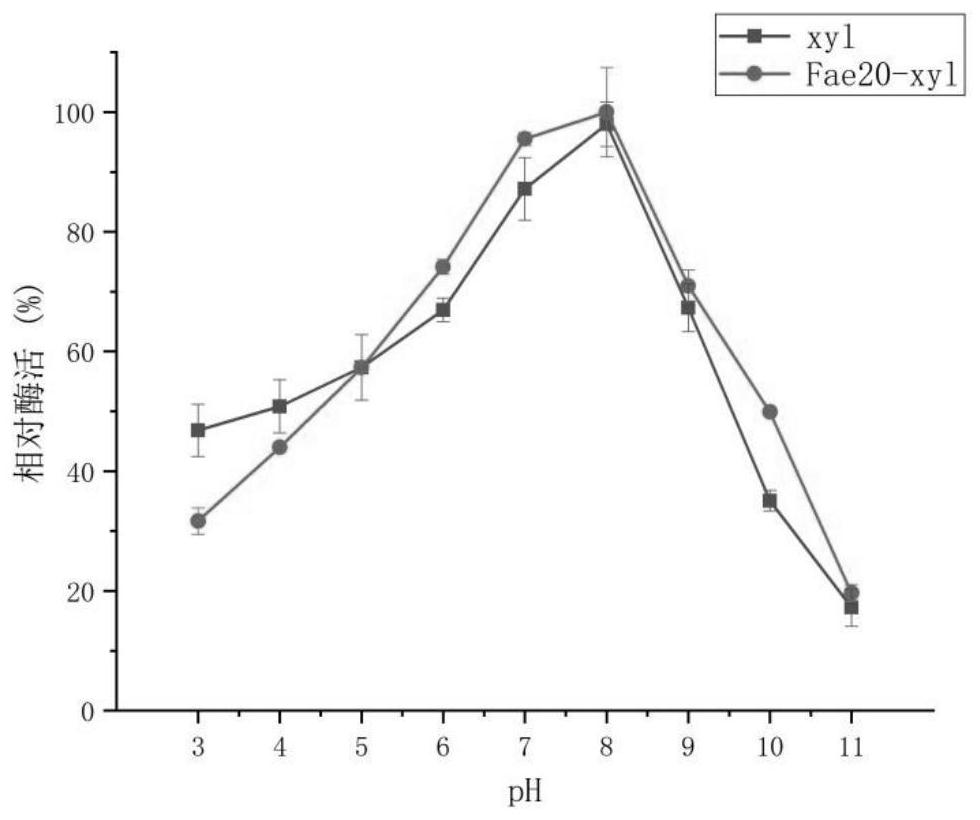 Composite microecological preparation and application thereof in increasing intestinal short-chain fatty acid