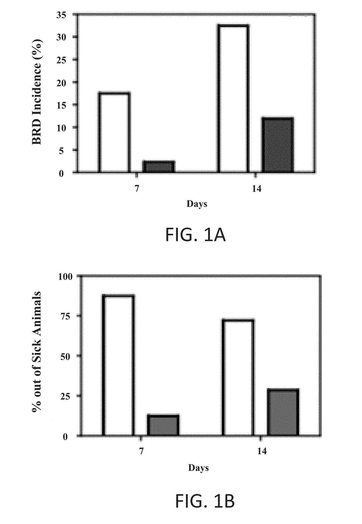 Enhanced immune response in cattle upon treatment with nitric oxide