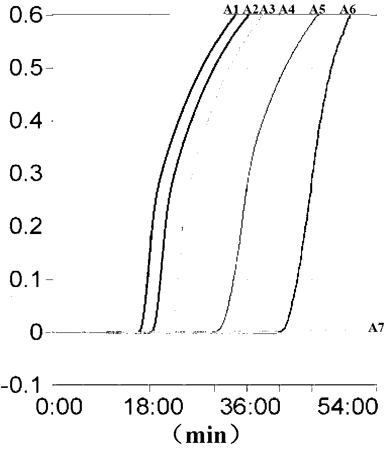 Loop-mediated isothermal amplification method for detecting lyme disease spirochete