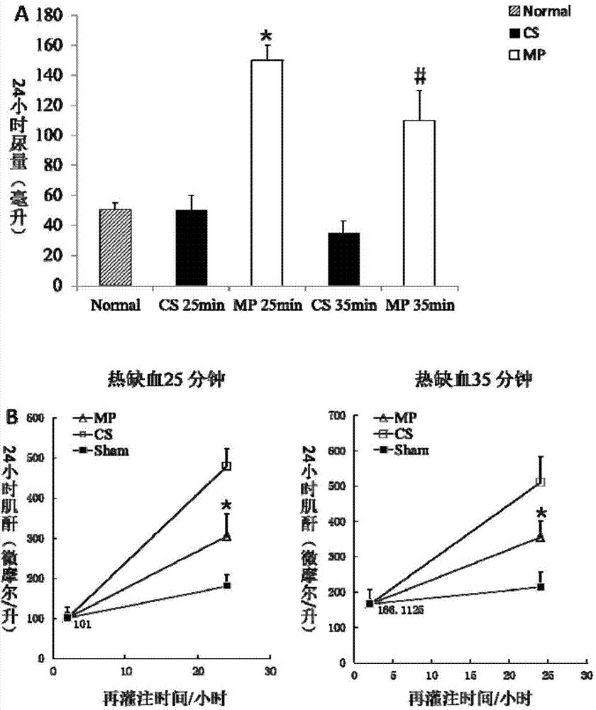 Rabbit kidney in-vivo low-temperature mechanical perfusion model and construction method thereof