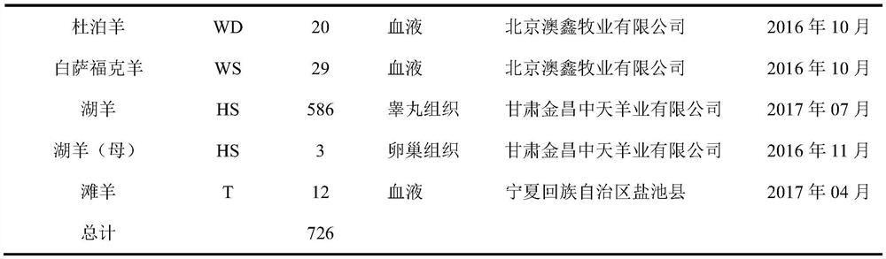 A method for detecting variation in the copy number of sheep znf280by gene and its application