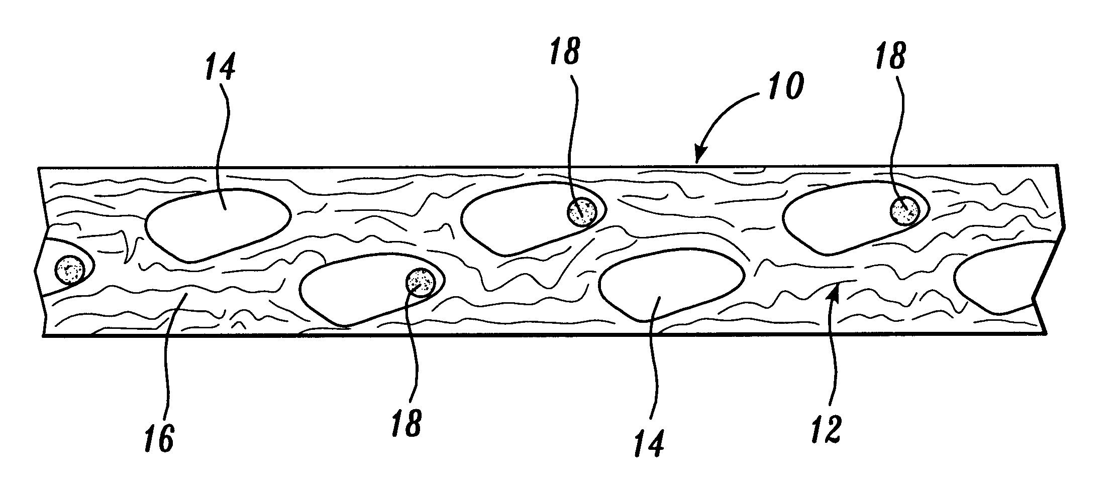 Absorbent composite having fibrous bands