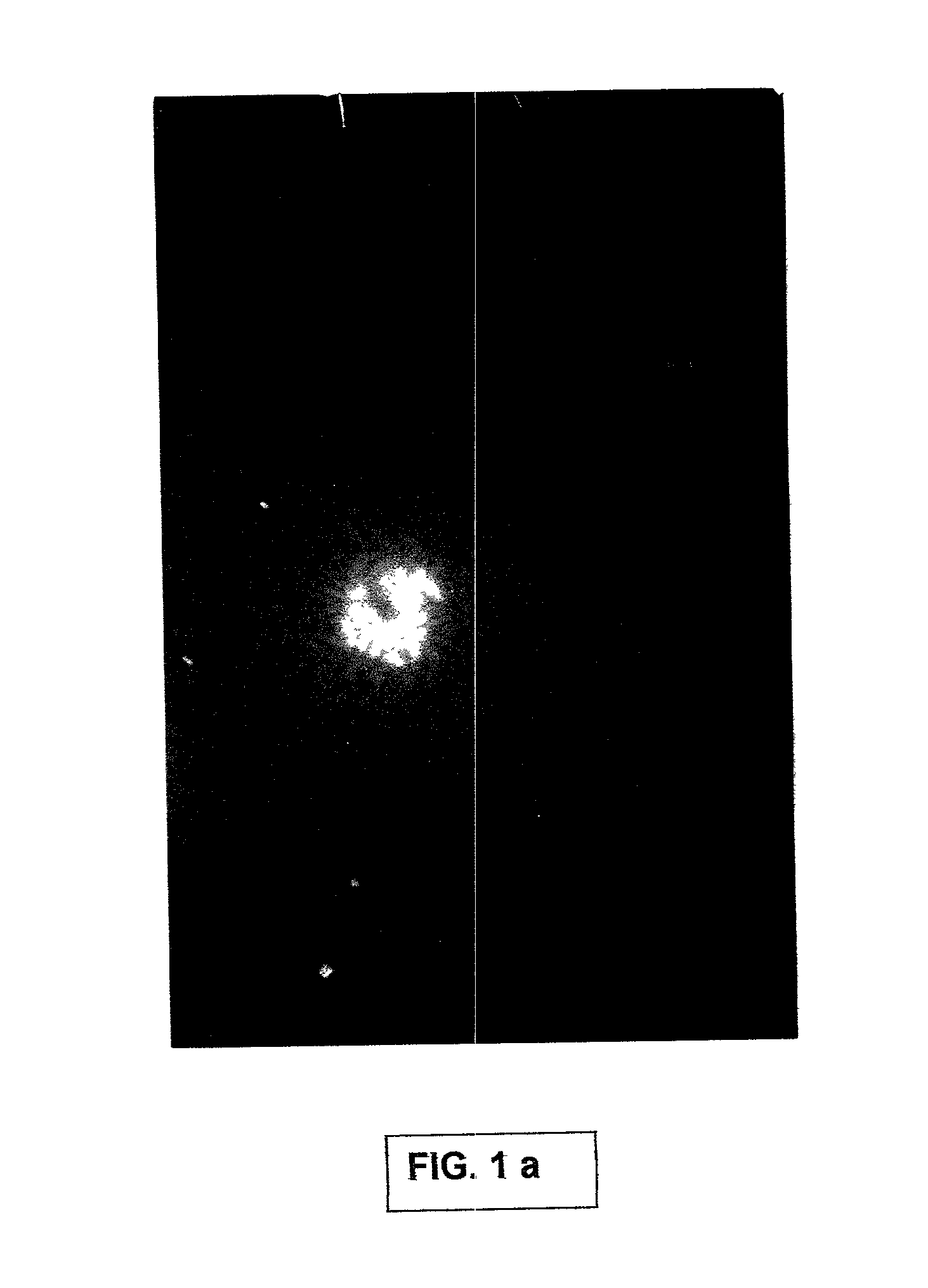 Natural non-polar fluorescent dye from a non-bioluminescent marine invertebrate, compositions containing the said dye and its uses