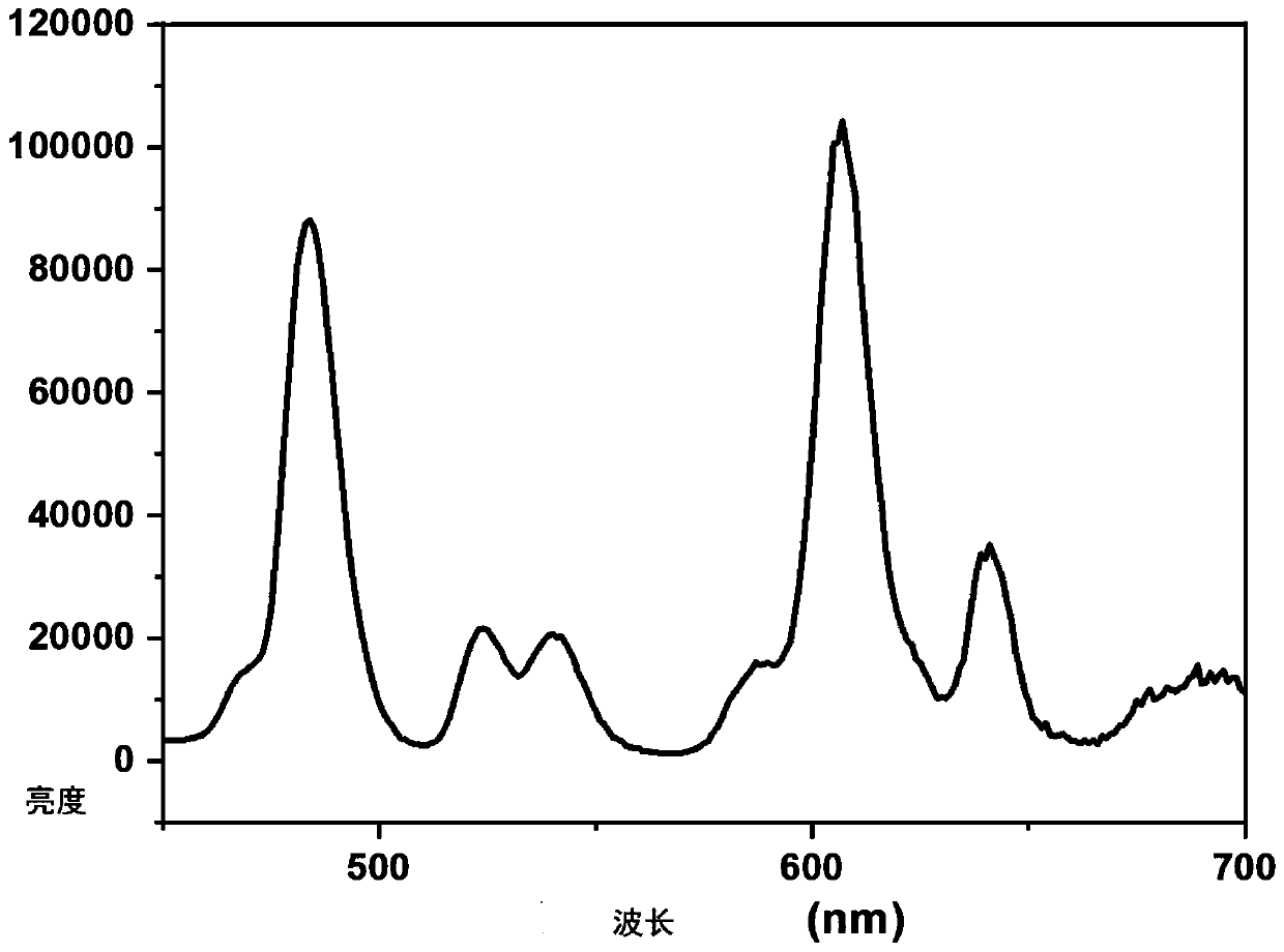 Rare earth doped nanoprobe, preparation and new coronavirus detection probe