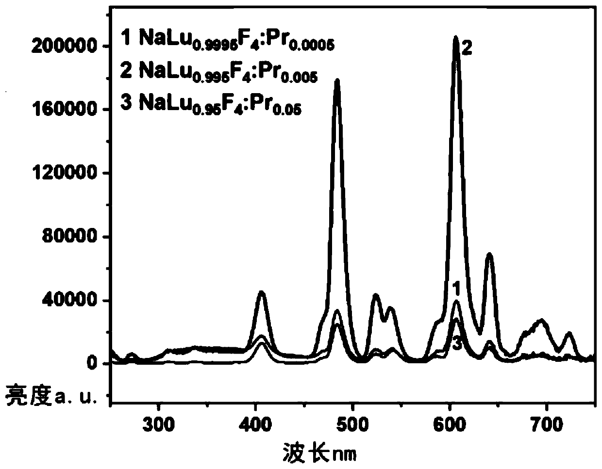 Rare earth doped nanoprobe, preparation and new coronavirus detection probe