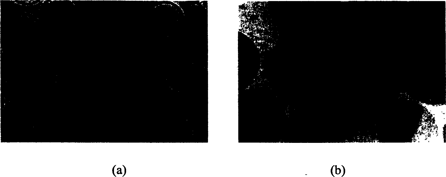 Method for preparing fixed yeast cell micro capsule