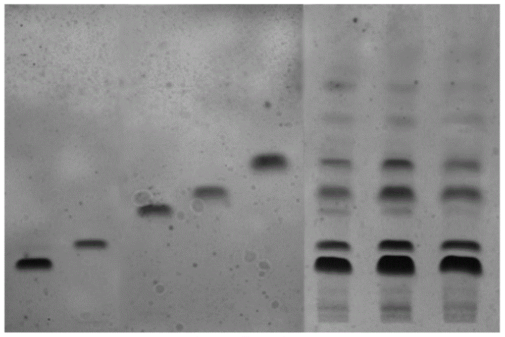 A method for rapid screening of tea tree resources containing egcg3"me