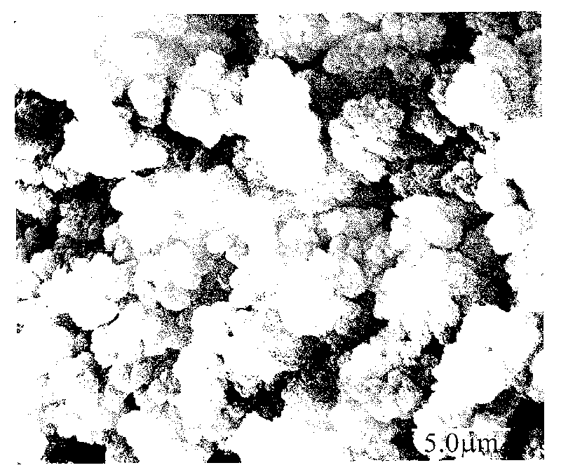 Molecular imprinting monolithic column, preparation method and application thereof