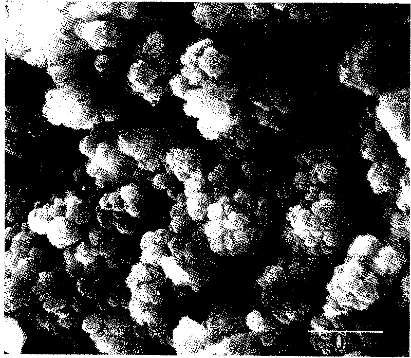 Molecular imprinting monolithic column, preparation method and application thereof